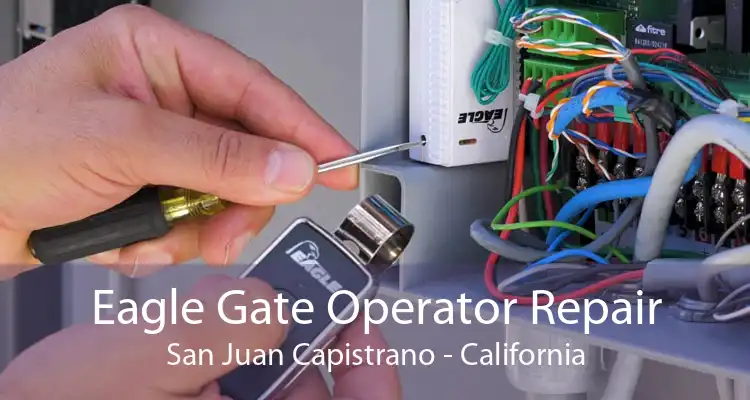 Eagle Gate Operator Repair San Juan Capistrano - California