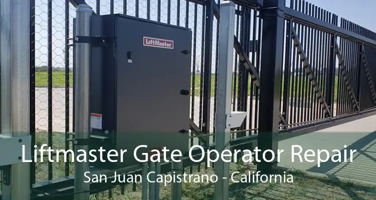 Liftmaster Gate Operator Repair San Juan Capistrano - California